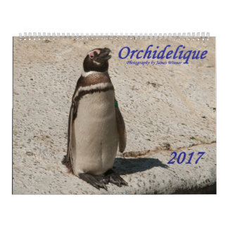 Calendário do animal de Orchidelique 2017