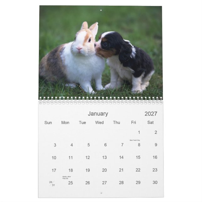 Calendário do animal do bebê (Jan 2027)