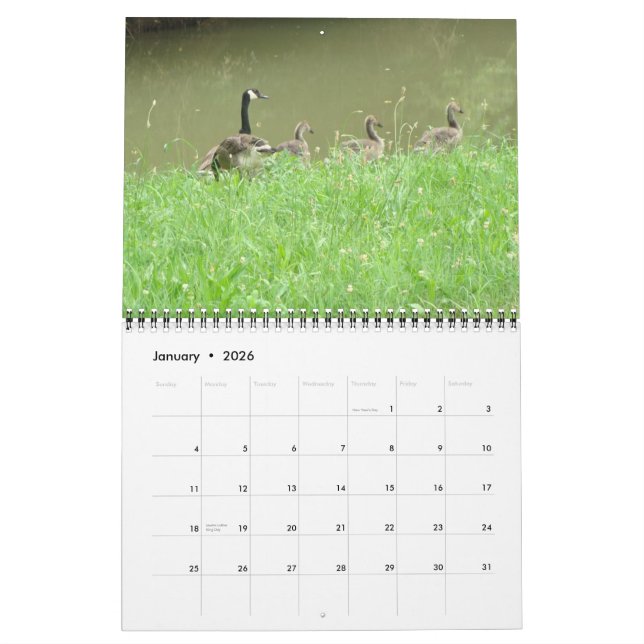 Calendário do animal selvagem (Jan 2026)