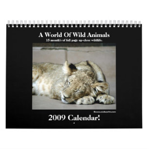 Calendário do animal selvagem 2009!