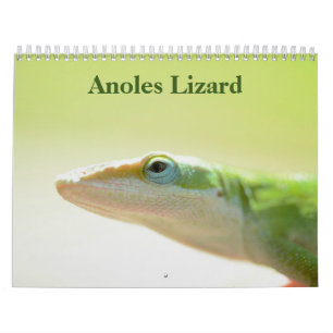 Calendário do Anoles Lizard 2022