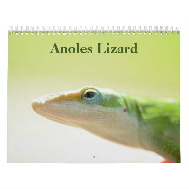 Calendário do Anoles Lizard 2025 (Capa)