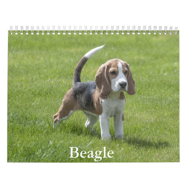 Calendário do Beagle (Capa)