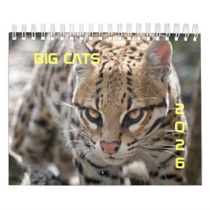Calendário do Big Cats 2025