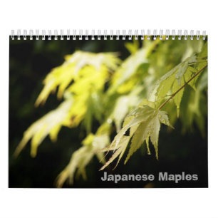 Calendário do bordo japonês