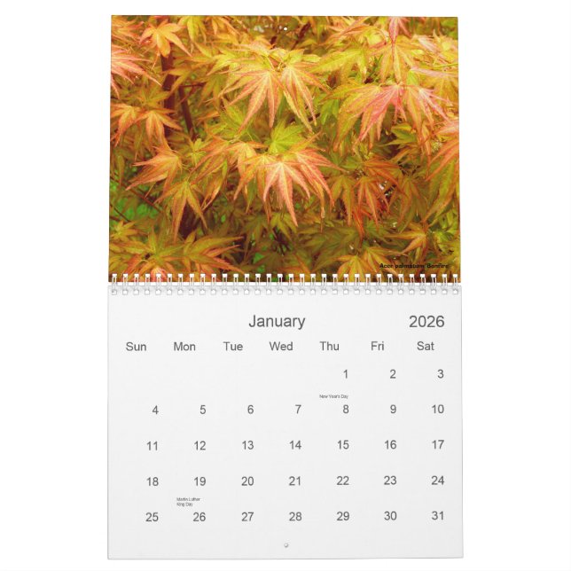 Calendário do bordo japonês (Jan 2026)