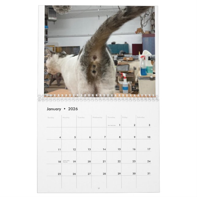 Calendário do Bumbum Cat 2022 (Jan 2026)
