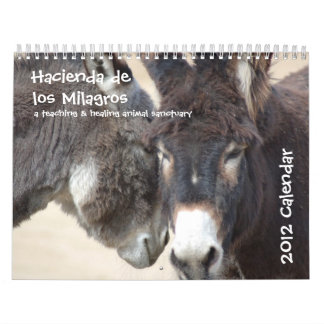 Calendário do Burro & do cavalo