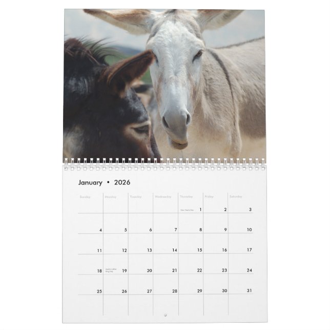 Calendário do Burro & do cavalo (Jan 2026)