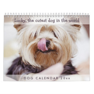 Calendário do Cachorro 2026 Adicione Suas Fotos Ba