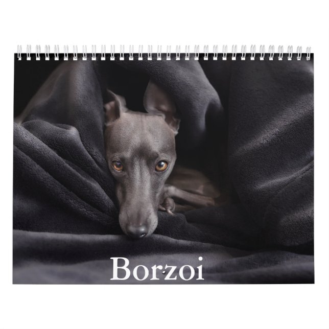 Calendário do Cachorro Borzoi (Capa)
