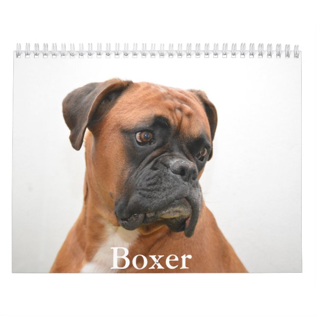 Calendário do Cachorro Boxer (Capa)