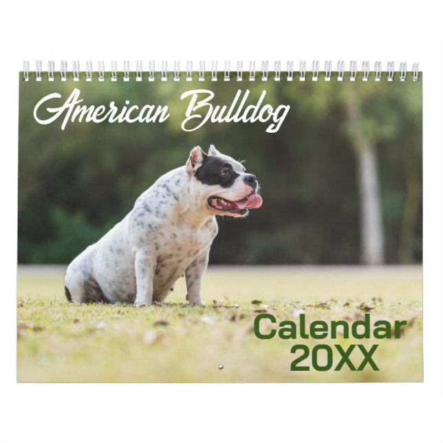 Calendário do Cachorro Bulldog Americano 2026 (Capa)