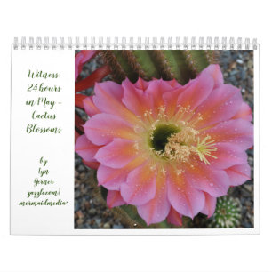 Calendário do Cactus Blossoms