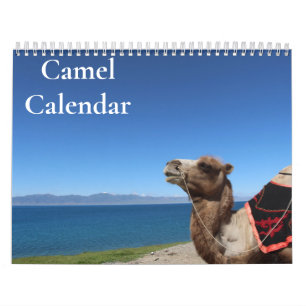 Calendário do Camel 2025