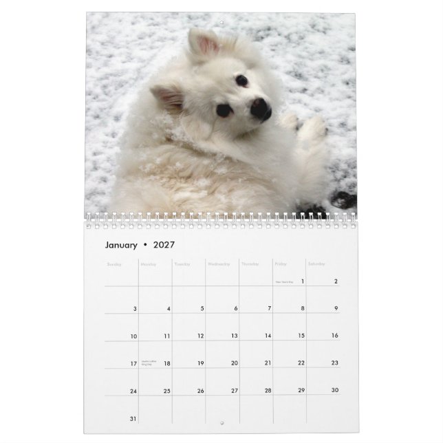 Calendário do cão (Jan 2027)