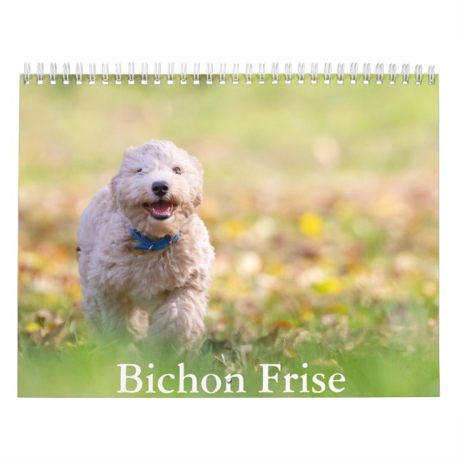 Calendário do cão Bichon Frise (Capa)