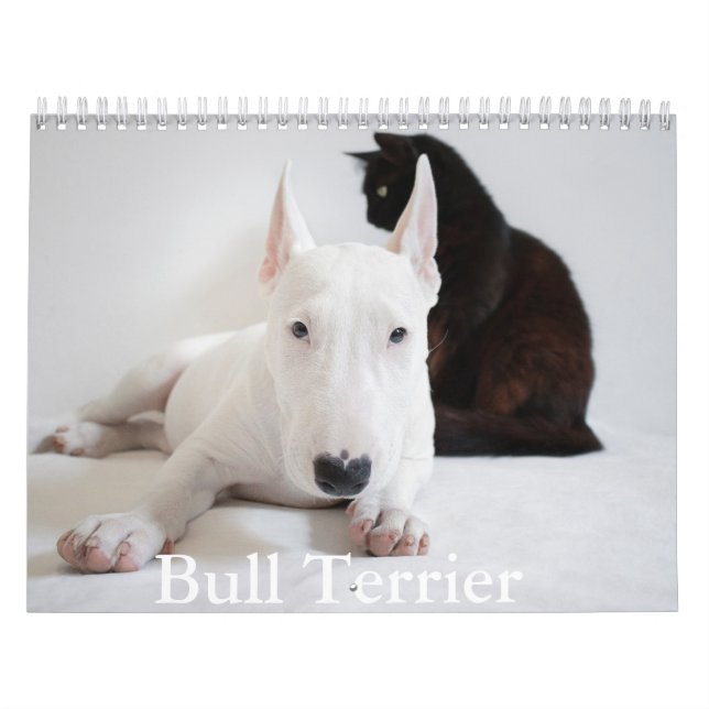 Calendário do Cão Bull Terrier (Capa)