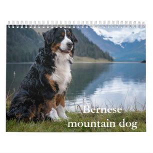 Calendário do cão da montanha Bernese