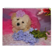 Calendário do Cão-de-Açúcar