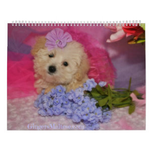 Calendário do Cão-de-Açúcar