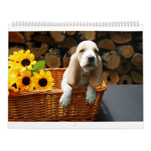 Calendário do cão de Basset