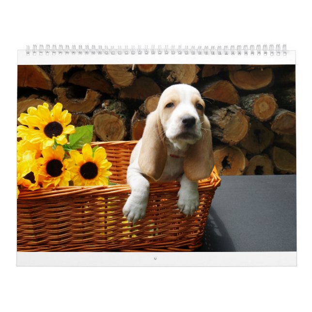 Calendário do cão de Basset (Capa)