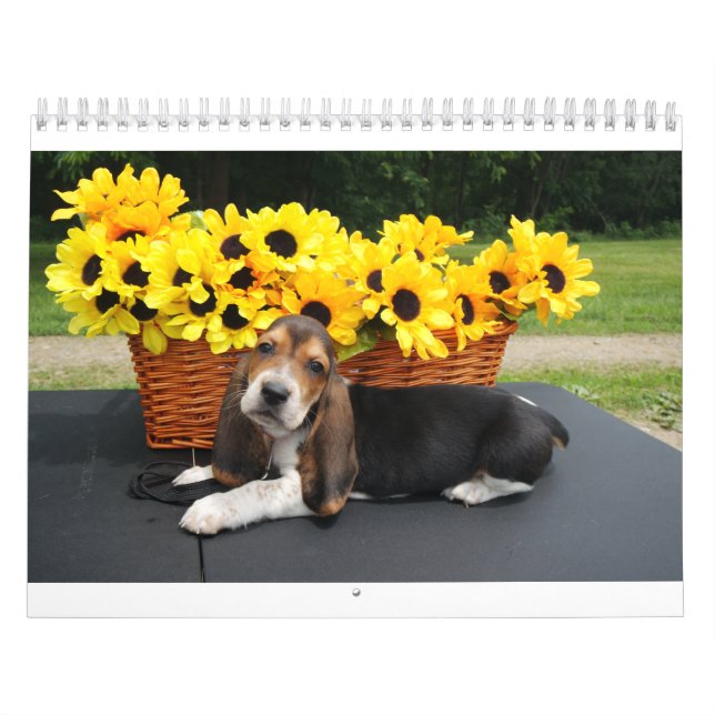 Calendário do cão de Basset (Capa)