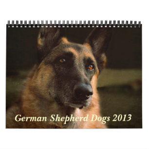 Calendário do cão de german shepherd 2013