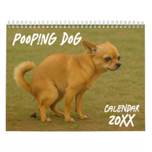 Calendário do cão de Pooping 2026