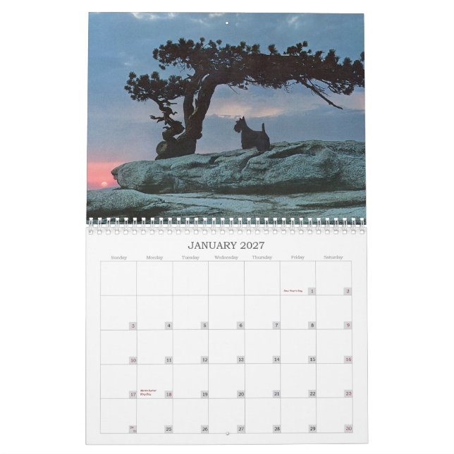Calendário do Cão Scottie (Jan 2027)