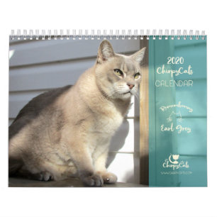 Calendário do Cat 2020, Lembrando Cinza do Earl