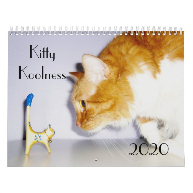 Calendário do Cat 2024 "Koolness" de Gatinho bonit (Capa)