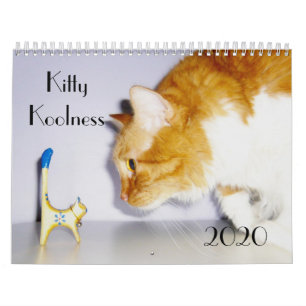 Calendário do Cat 2024 "Koolness" de Gatinho bonit