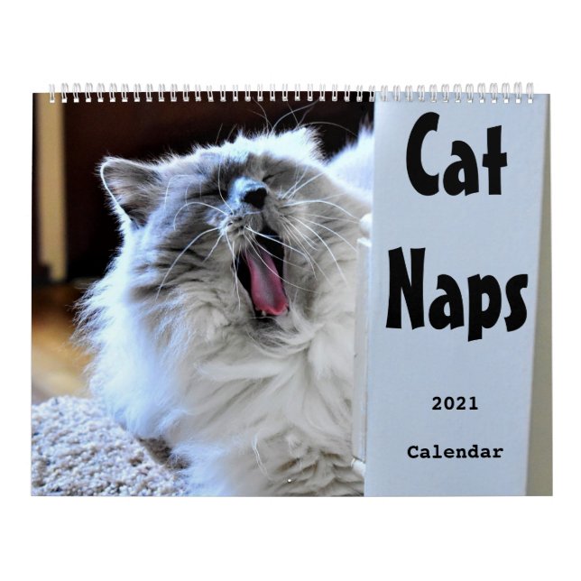 Calendário do Cat Naps 2021 (Capa)