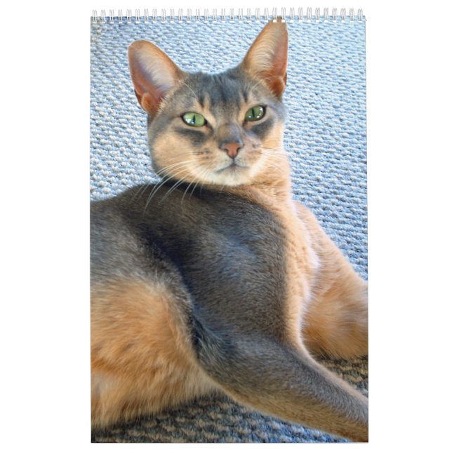 Calendário do Cat. Puro - personalizar qualquer mê (Capa)