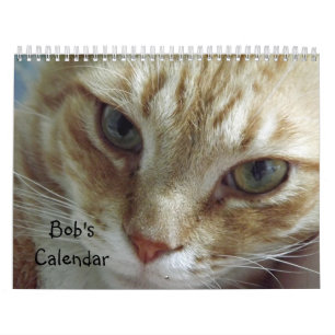 Calendário do Cat Tabby Laranja com Bob