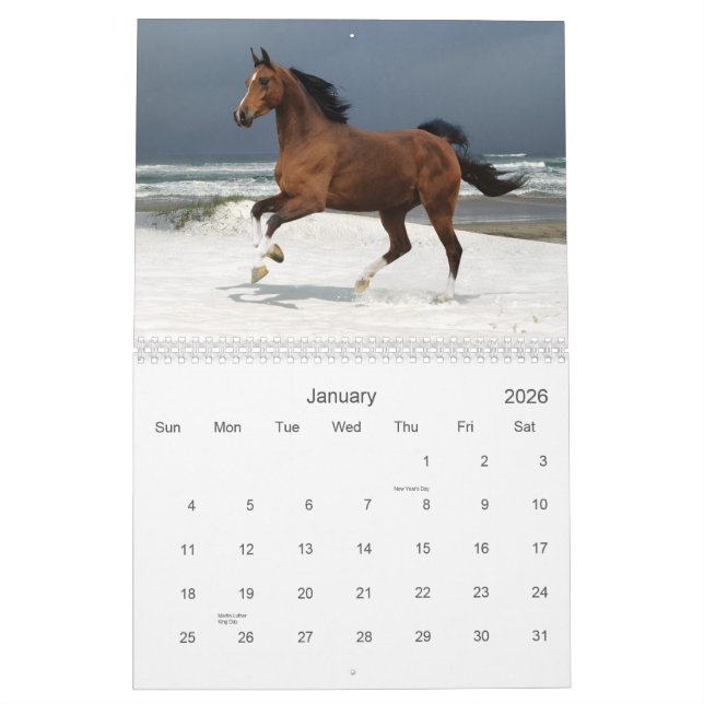 Calendário do cavalo (Jan 2026)