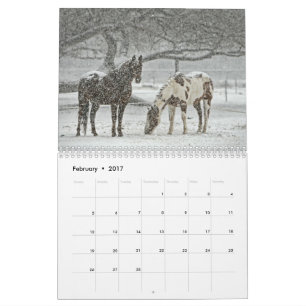 Calendário do cavalo