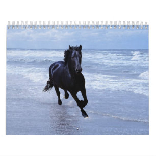 Calendário do cavalo