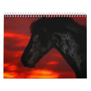 Calendário do cavalo