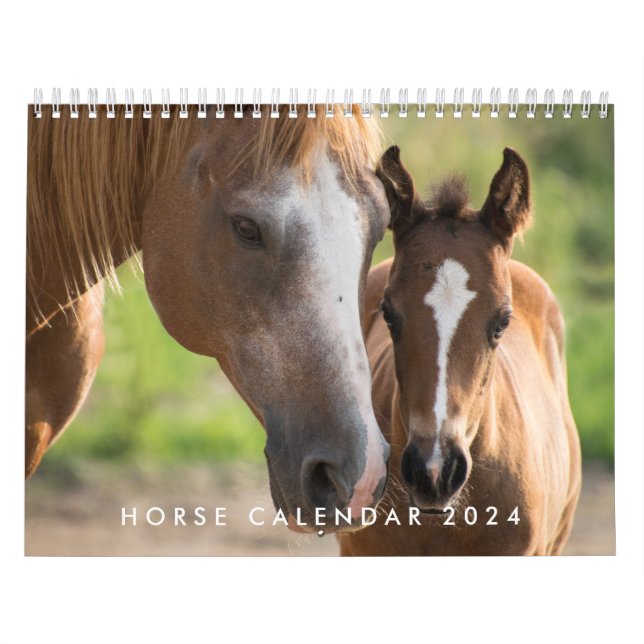 Calendário Do Cavalo 2024 Com As Suas Fotos (Capa)