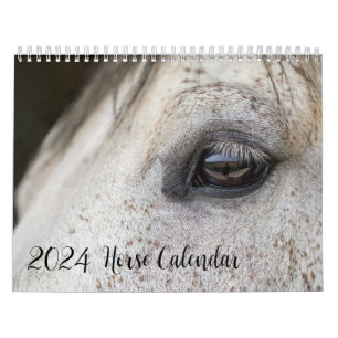 Calendário Do Cavalo 2024 Com As Suas Fotos