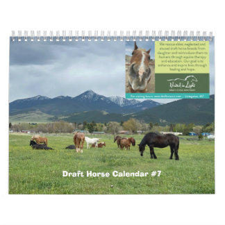 Calendário do Cavalo de Rascunho