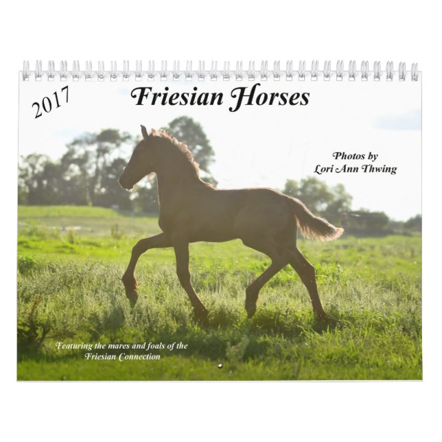 Calendário do cavalo do frisão (Capa)