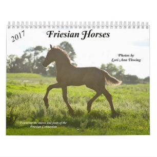 Calendário do cavalo do frisão