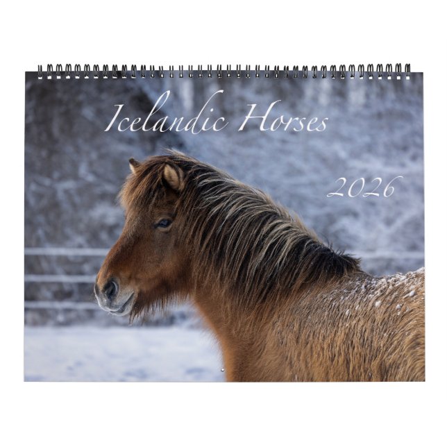 Calendário do Cavalo Islandês 2026 (Capa)