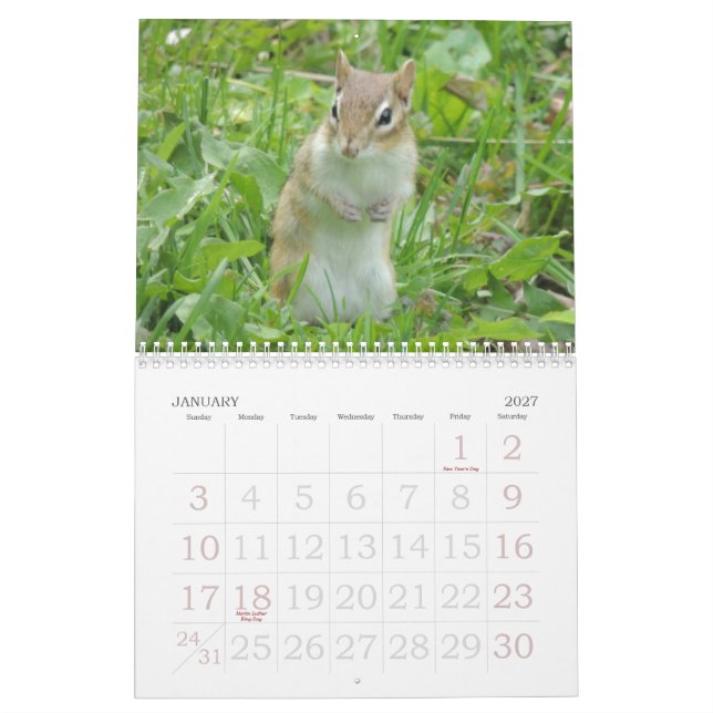 Calendário do Chipmunk (Jan 2027)