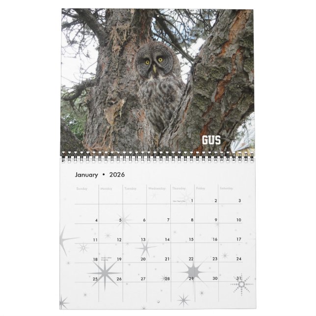 Calendário do clube 2012 do raptor de WSU (Jan 2026)