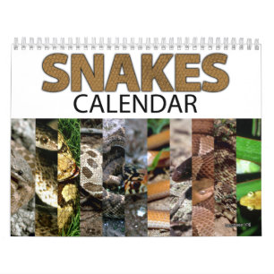 Calendário do cobra